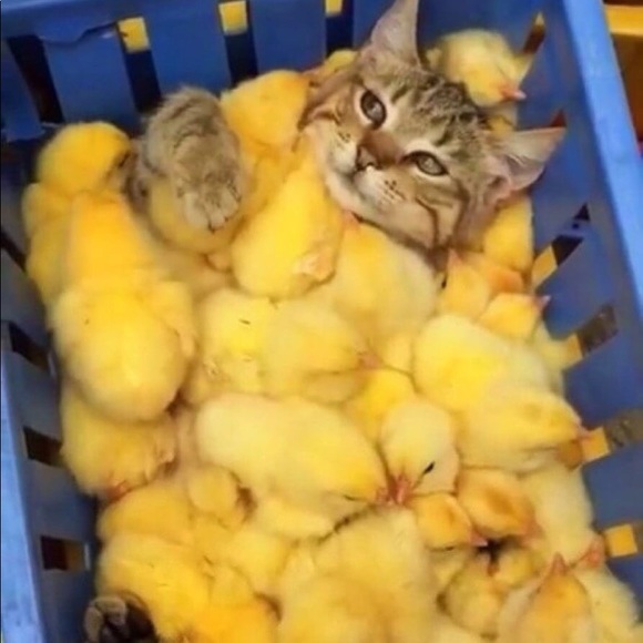 Open for business 24/7 🤩 - Picture 14 of 16